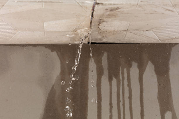 Professional Sewage Cleanup technician working in Pine Island, MN